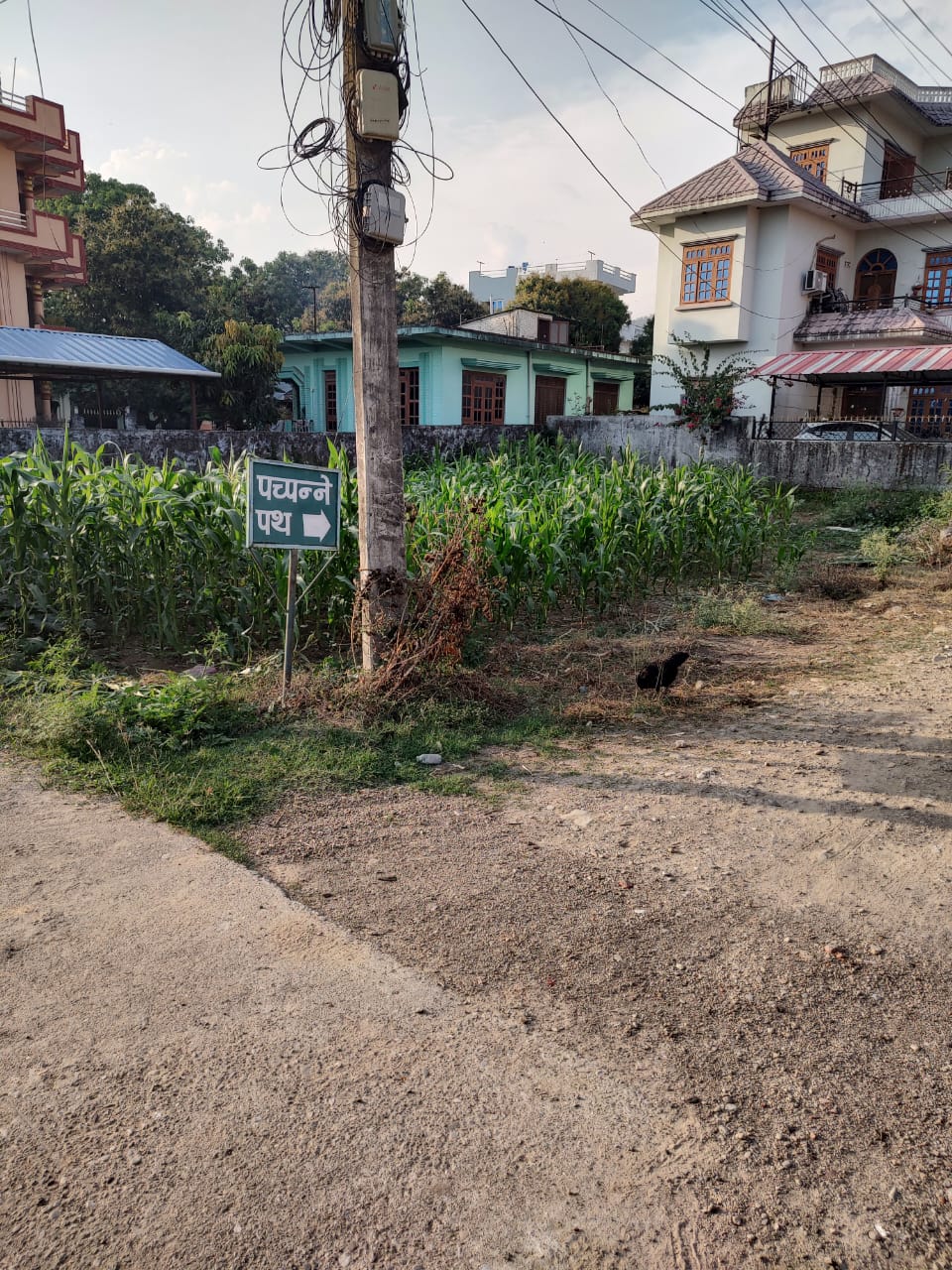 Picture of Butwal Sub- Metropolitan Municipality, Lumbini
